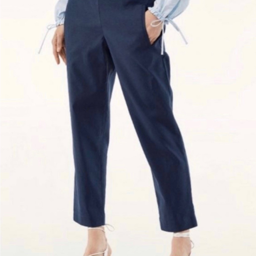 Aritzia Wilfred Darontal Casual Dress Pants